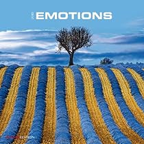 Emotions 2010 Wall Calendar X116