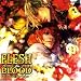 ルボー・サウンドコレクション ドラマCD FLESH&BLOOD14