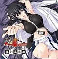 真剣で私に恋しなさい! Original Sound Track ~真剣演舞~