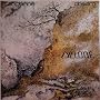 Cyclone von Tangerine Dream