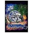 Carolina Panthers Woven Tapestry Throw