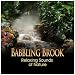 Babbling Brook: Relaxing Sounds of Nature