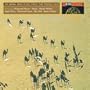 Sif Safaa: New Music From Middle East