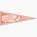 6 Detroit Lions Pink NFL Wholesale Team Pennants