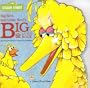 Big Bird and Little Bird's big & little book (A Golden book for early childhood)