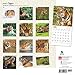 Tigers 2016 Wall Calendar
