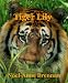Tiger Lily Tiger Lily