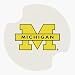 Carsters - University of Michigan - Coasters for Your Car