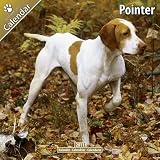 Kalender 2011 Pointer - English Pointer