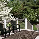 JCPenney Zebra Indoor/Outdoor Rug