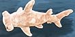 16 Hammerhead Shark Stuffed Toy