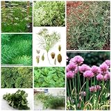 10 Packs of Herb Seeds - Herb Garden Collectionby Haddons