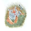 Asia Art Miniatures India Folk Paintings Drawings