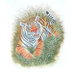 Asia Art Miniatures India Folk Paintings Drawings
