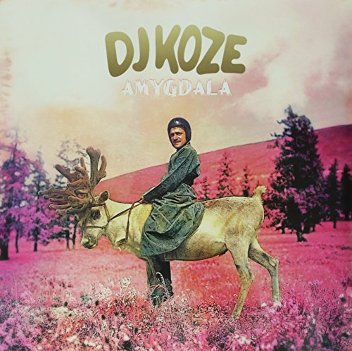 Album Art for Amygdala by DJ Koze