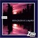 Zillo Festival 99