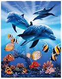 Offshore Dolphins Tropical Reef Oversized Beach Towel - 54 x 68