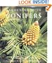 Gardening with Conifers