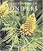 Gardening with Conifers