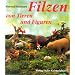 Filzen von Tieren und Figuren: Aufgebaut und modelliert