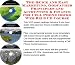 The Quick And Easy Marketing, Godfather Principles And Accounting & Finance For Cell Phone Docks Web Biz 3 Cd Course