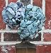 Dried Hydrangea Flower Bunch - Blue Color