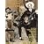 Legends of Western Swing Guitar