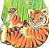 Pocket Tiger (Pocket Pals)