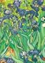 Van Gogh Notebook (Decorative Notebooks)