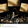 Image of Sting