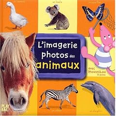 L'imagerie photos de Moustilou - Animaux