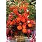 Some Fabulous Books on Flower Arranging