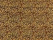 Sarong - Leopard Print - Color May Vary Slightly