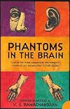 Phantoms in the Brain