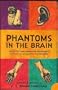 Phantoms in the Brain