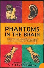 Phantoms in the Brain