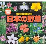カラー名鑑 増補改訂新版 日本の野草 (山溪カラー名鑑)