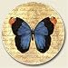 Kitchen & Housewares : Parchment Butterfly Auto Coaster, Single Coaster for Your Car