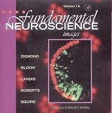 Fundamental Neuroscience