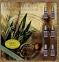 Aromatherapy For Body, Mind & Spirit Gift Set