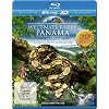 Weltnaturerbe Panama - La Amistad Nationalpark [3D Blu-ray]