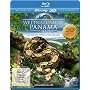 Weltnaturerbe Panama - La Amistad Nationalpark [3D&hellip <b>Blu-ray</b> ~ Norbert Vander