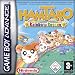 Hamtaro Rainbow Rescue