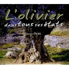 L'olivier : Dans tous ses �tats