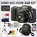 Sony Cyber-shot DSC-H20 10.1MP Digital Camera + 8GB Deluxe Accessory Kit