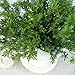Green Artificial Plant 6 Branches Parsley Grass Home Wedding Decor