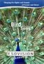 ESOVISION Relaxation  BIRD SONG