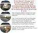 The Best Make An Extra Income, Biz Networking and eCommerce for Home Cinema Systems Web Businesses 3 CD Power Pack