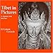 Tibet in Pictures: A Journey into the Past (Buddhist History)