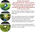 image 32 - The Secret Marketing Success Principles and Inner Game